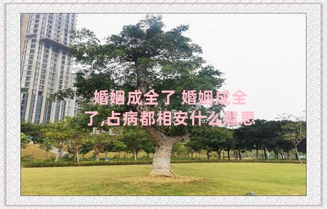 婚姻成全了 婚姻成全了,占病都相安什么意思